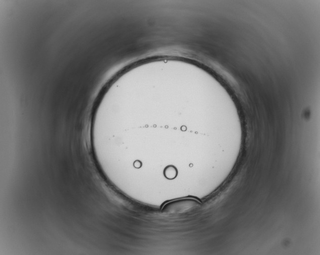 X0000100411272200807032029