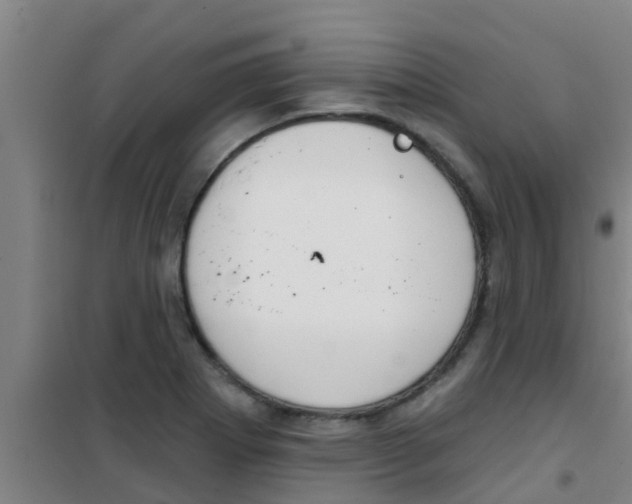 X0000100411273200807032029