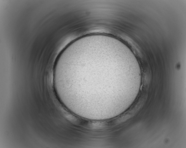X0000100411274200807032029