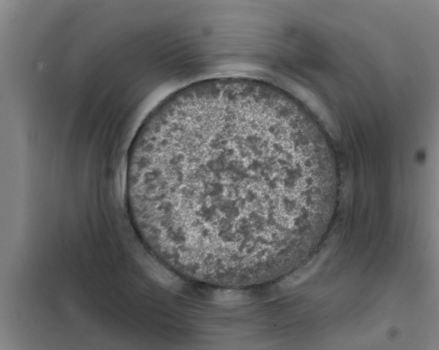 X0000100411275200807032029