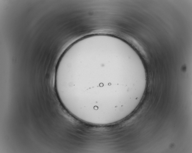 X0000100411276200807032029