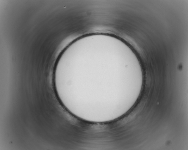 X0000100411277200807032029