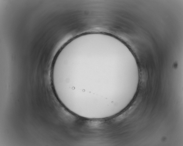 X0000100411278200807032029