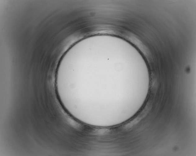 X0000100411282200807032029