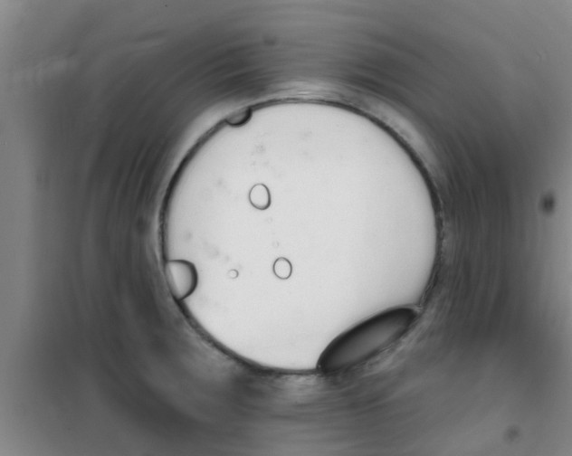 X0000100411283200807032029