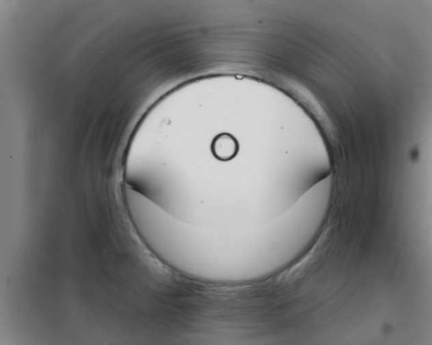 X0000100411284200807032029