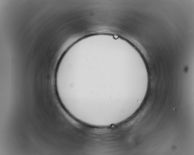 X0000100411285200807032029