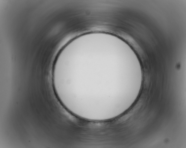 X0000100411286200807032029