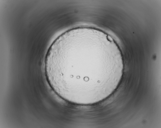 X0000100411287200807032029