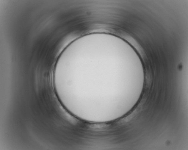 X0000100411290200807032029