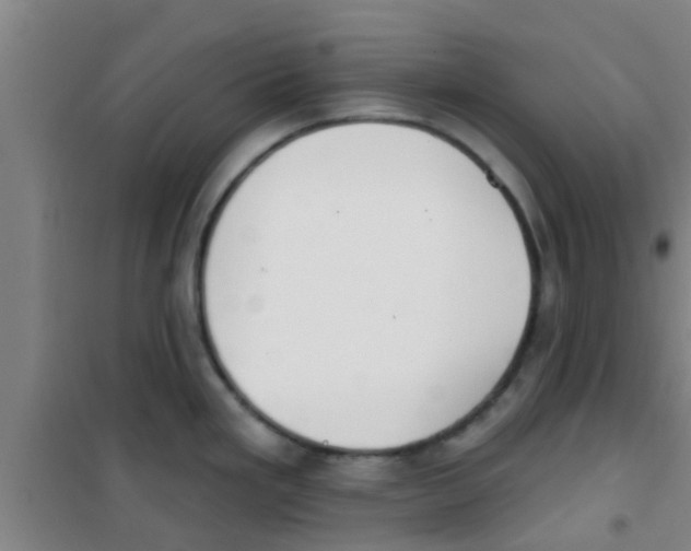 X0000100411293200807032029