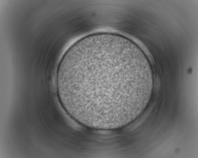 X0000100411295200807032029