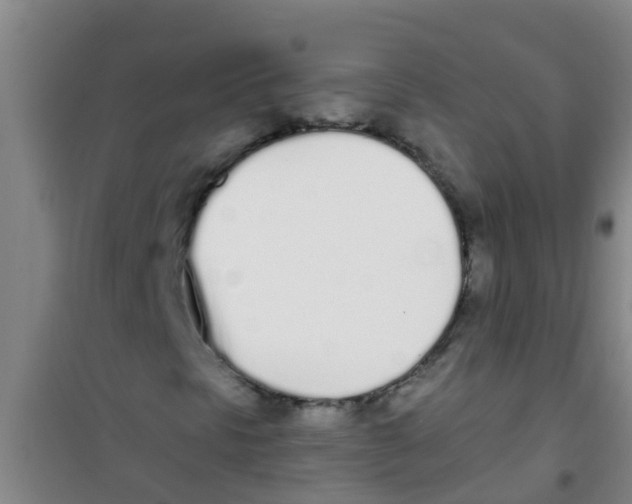 X0000100411297200807032028