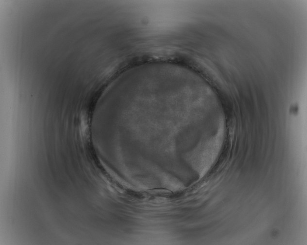 X0000100411298200807032028