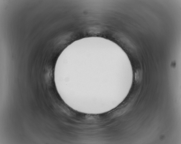 X0000100411299200807032028