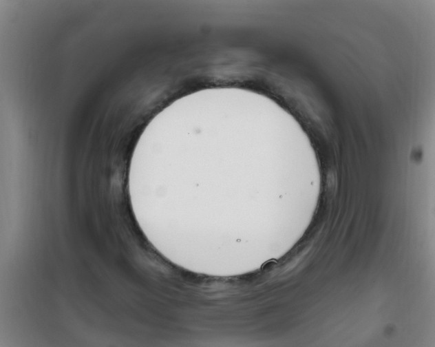 X0000100411300200807032028