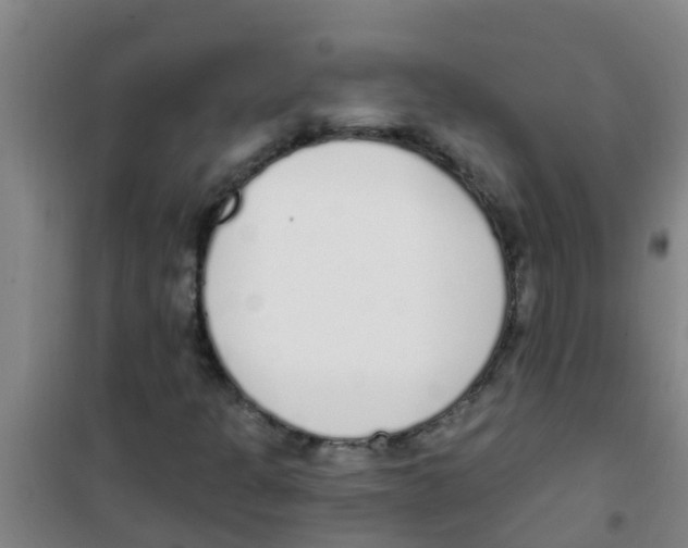 X0000100411301200807032028