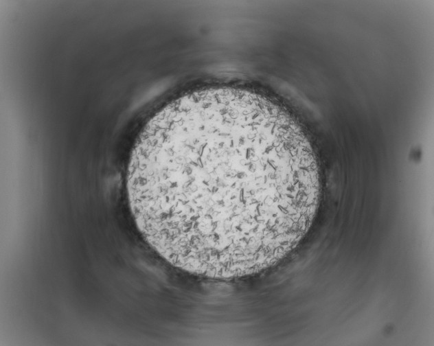 X0000100411302200807032028