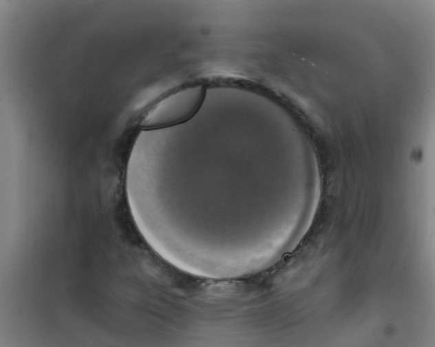 X0000100411303200807032028