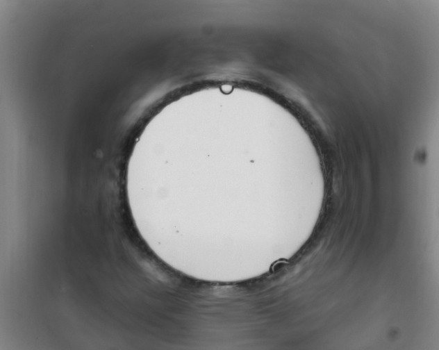 X0000100411304200807032028