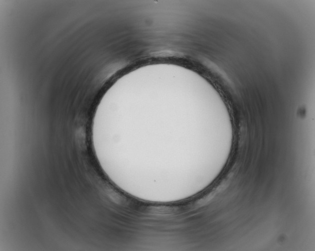 X0000100411305200807032028