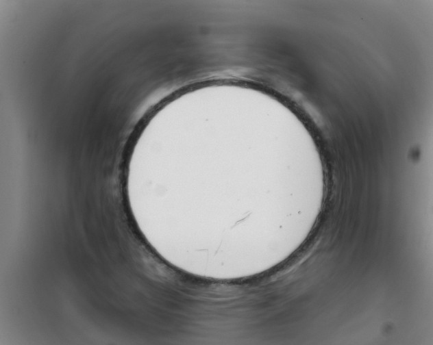 X0000100411308200807032028