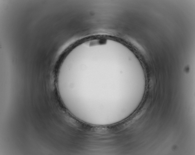 X0000100411310200807032028