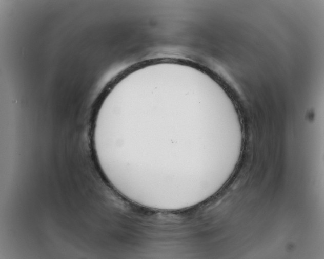 X0000100411312200807032028