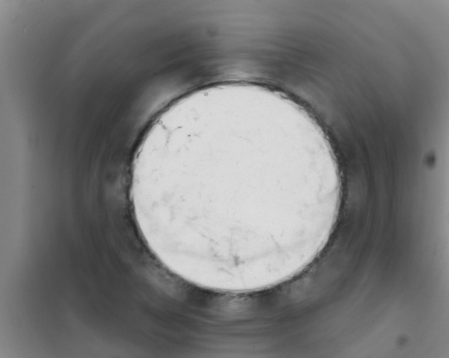 X0000100411314200807032028