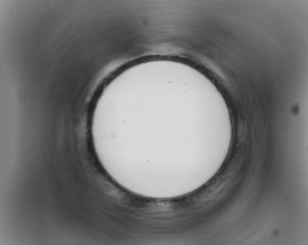 X0000100411315200807032028