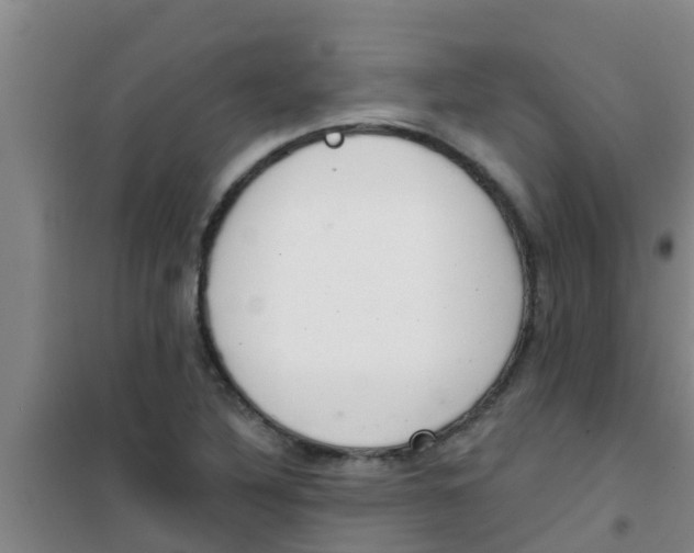 X0000100411316200807032028