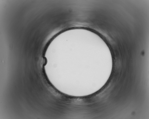 X0000100411317200807032028