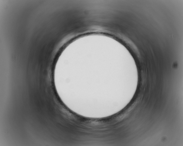 X0000100411318200807032028