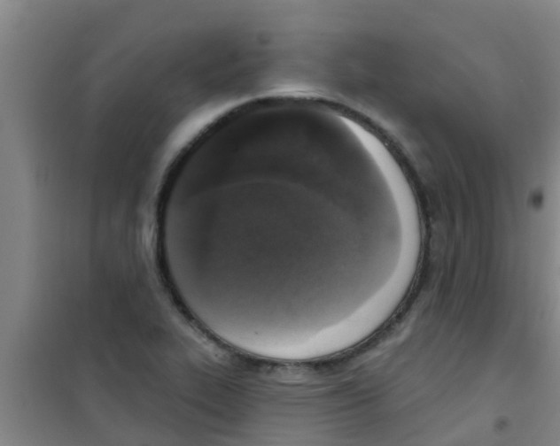 X0000100411319200807032028