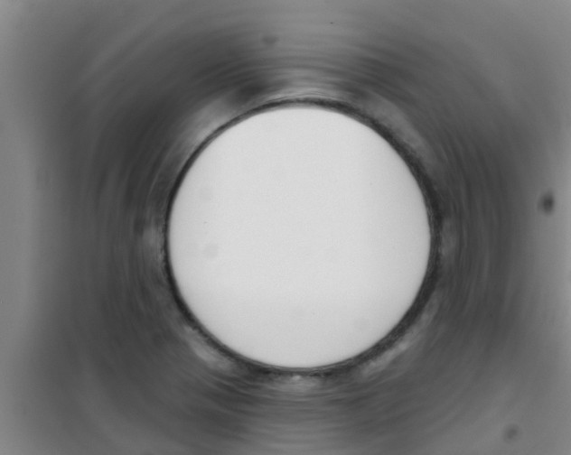 X0000100411321200807032028