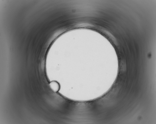 X0000100411322200807032028