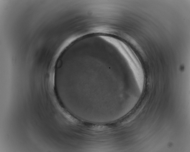 X0000100411323200807032028