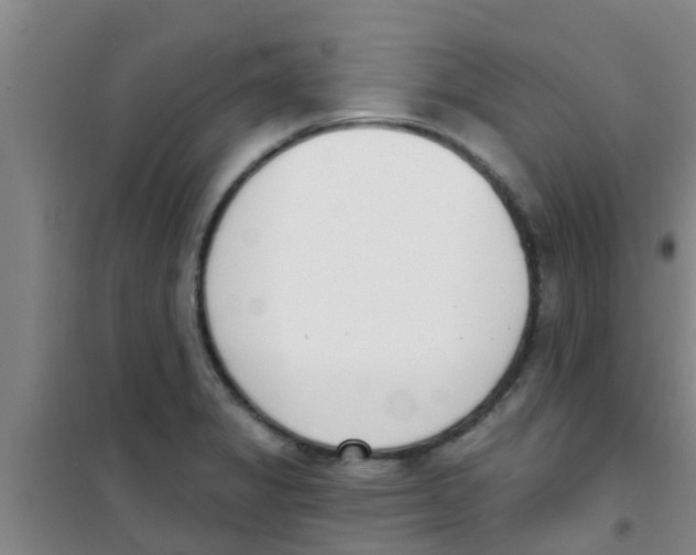 X0000100411325200807032028