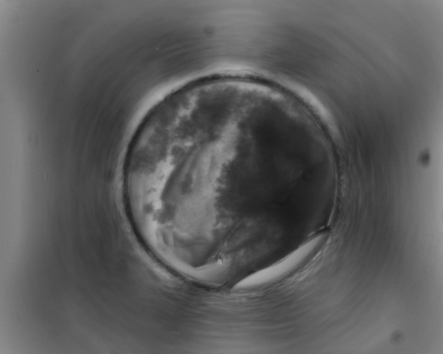 X0000100411327200807032028