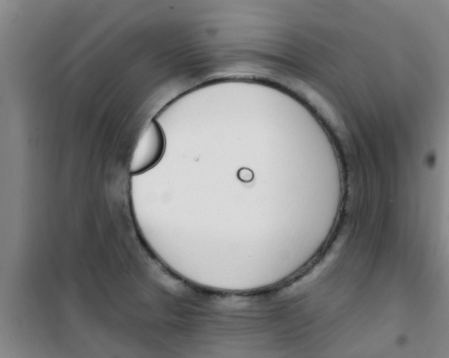 X0000100411329200807032028