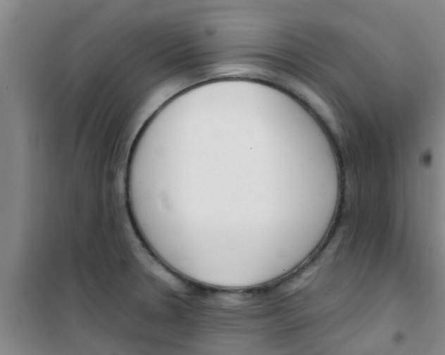X0000100411330200807032028