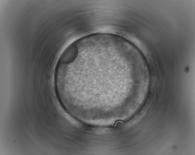 X0000100411331200807032028