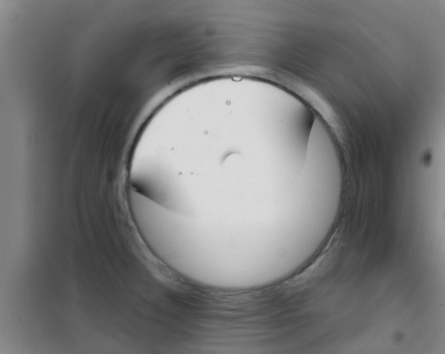 X0000100411332200807032028