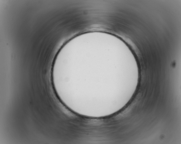 X0000100411333200807032028