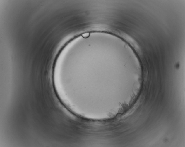 X0000100411334200807032028