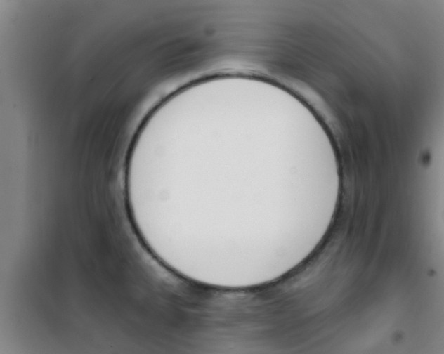 X0000100411335200807032028