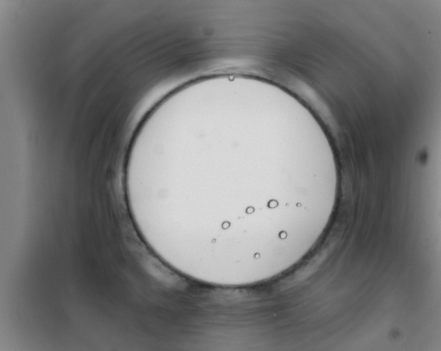 X0000100411336200807032028