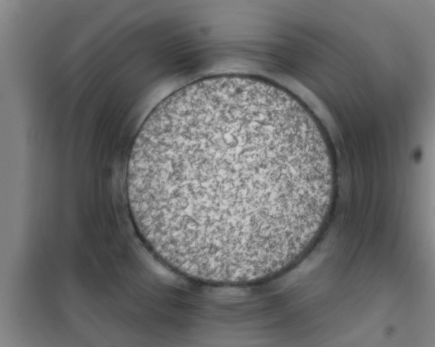 X0000100411337200807032028