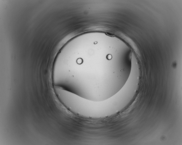 X0000100411338200807032028