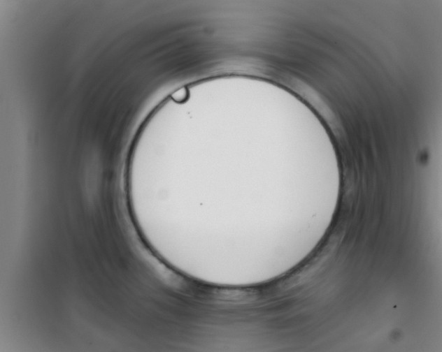 X0000100411339200807032028